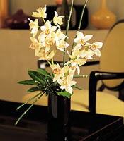  zmir Dikili iekiler  cam yada mika vazo ierisinde dal orkide