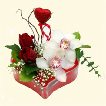  zmir Bornova hediye sevgilime hediye iek  1 kandil orkide 5 adet kirmizi gl mika kalp